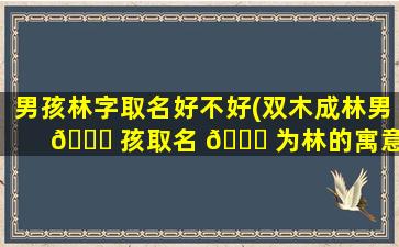 男孩林字取名好不好(双木成林男 🍁 孩取名 🐞 为林的寓意)